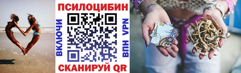 закладка  Суворов  Псилоцибиновые грибы прущие грибы 